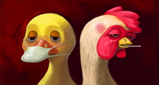 高致病性禽流感