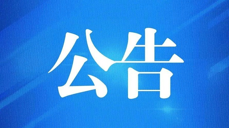 上海报关行